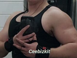 Ceebizkit