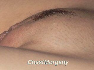 ChestMorgany