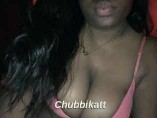Chubbikatt