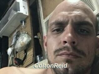 Colton_Reid