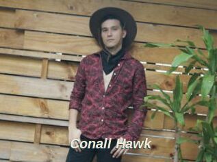 Conall_Hawk