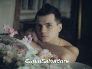 CupidSalvadore