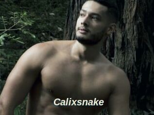Calixsnake