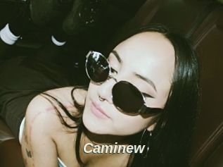 Caminew