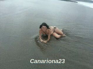 Canariona23