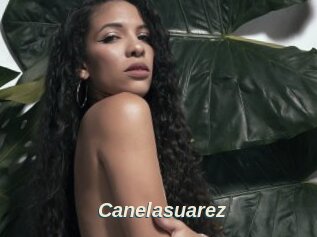 Canelasuarez