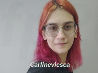 Carlineviesca