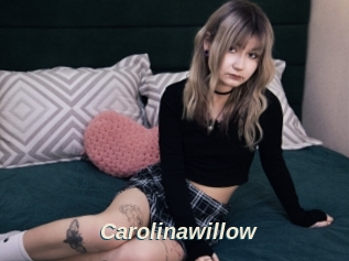 Carolinawillow