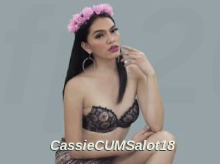 CassieCUMSalot18