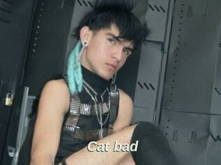 Cat_bad