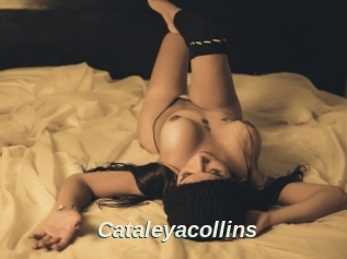 Cataleyacollins