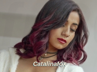 Catalinafox