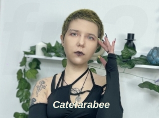 Catefarabee