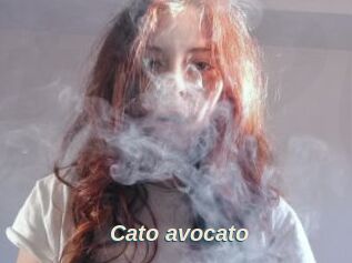 Cato_avocato