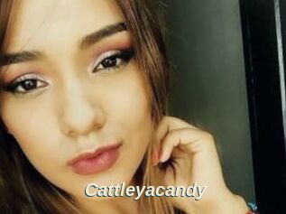 Cattleyacandy