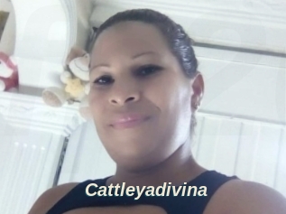 Cattleyadivina