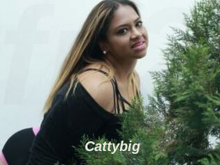 Cattybig