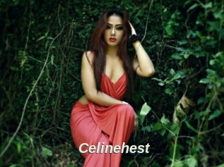 Celinehest