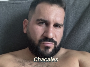 Chacales