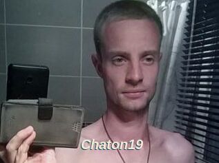 Chaton19