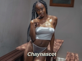 Chaynascot