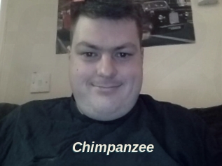 Chimpanzee