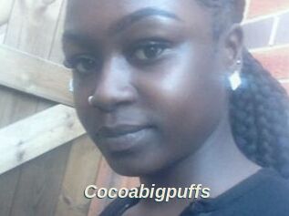 Cocoabigpuffs