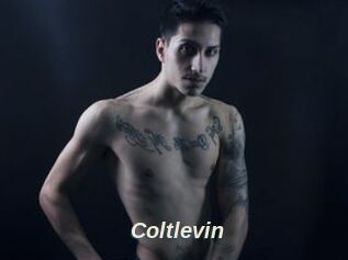 Coltlevin