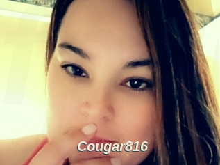 Cougar816