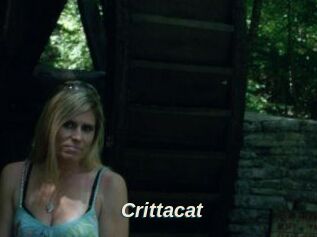 Crittacat