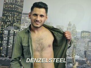DENZELSTEEL