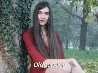 Didgeridoo