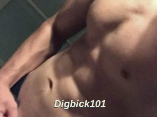 Digbick101