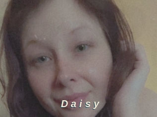 D_a_i_s_y