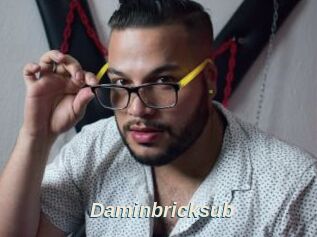 Daminbricksub