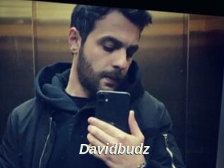 Davidbudz