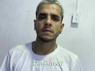 Daviidwolf