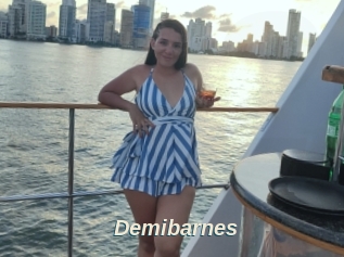 Demibarnes