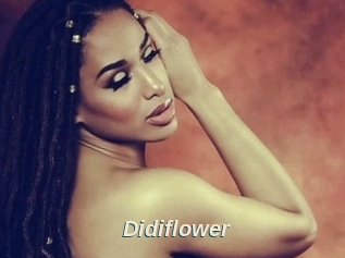 Didiflower