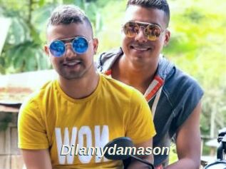 Dilamydamason
