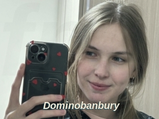 Dominobanbury