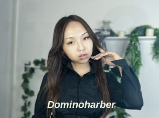 Dominoharber
