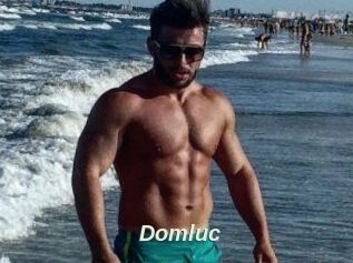 Domluc