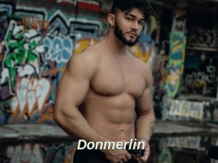 Donmerlin
