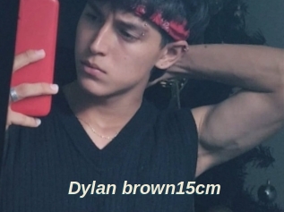 Dylan_brown15cm