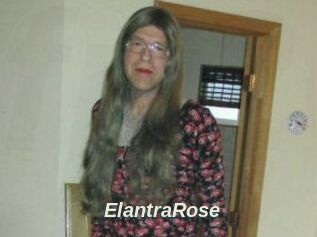 Elantra_Rose
