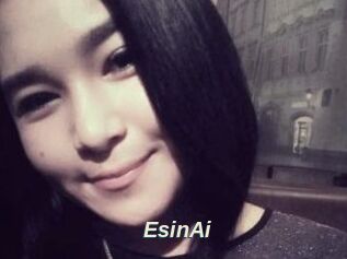 EsinAi