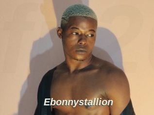 Ebonnystallion