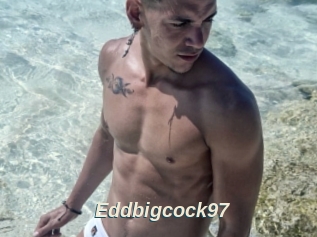 Eddbigcock97
