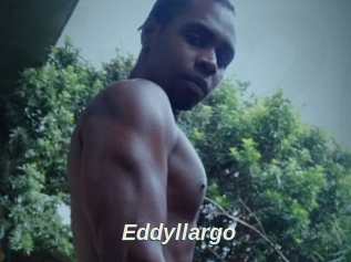 Eddyllargo